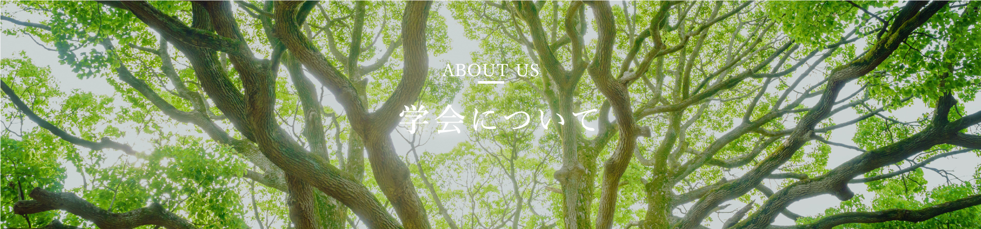 学会について